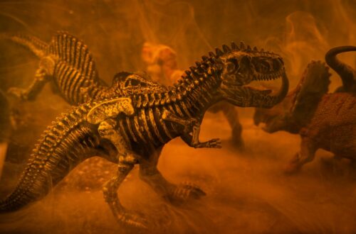 Photo Dinosaur, video game